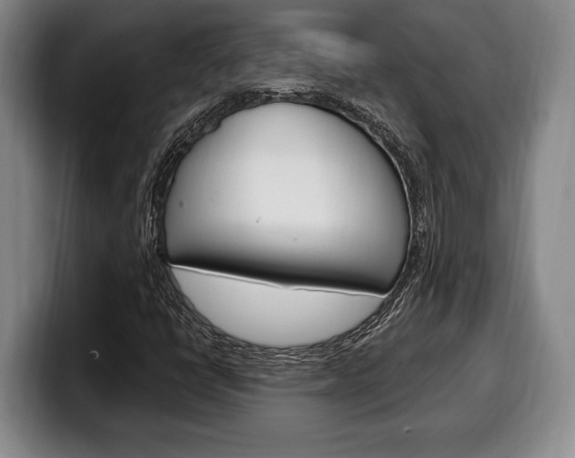 X0000100331398200806051154