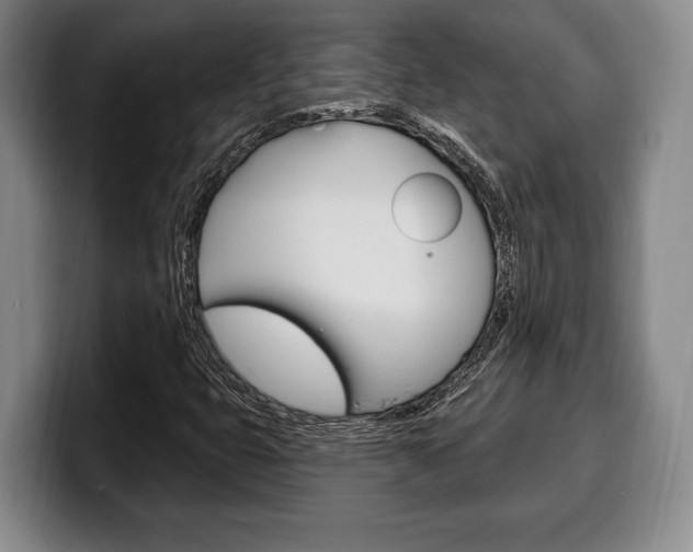 X0000100331399200806051154