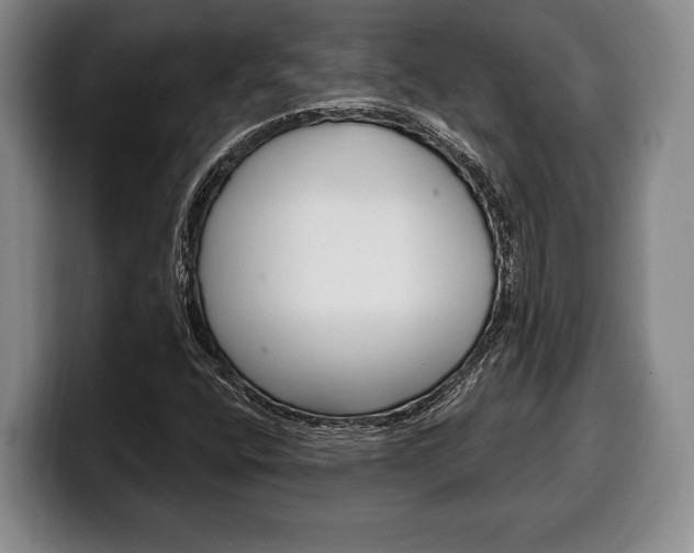 X0000100331400200806051154