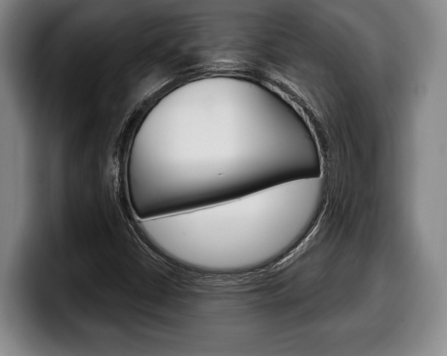 X0000100331402200806051154