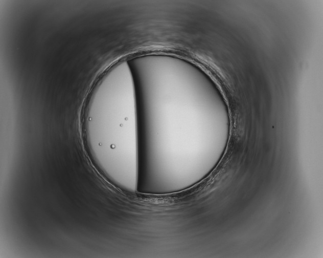 X0000100331404200806051154