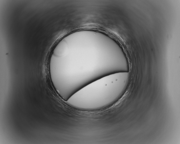 X0000100331405200806051154