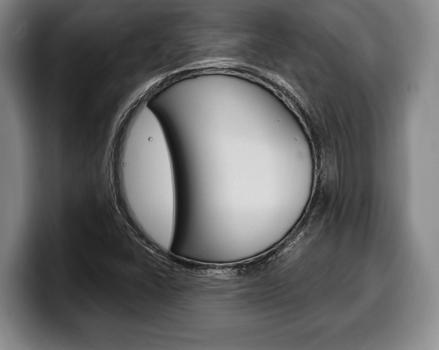 X0000100331406200806051154