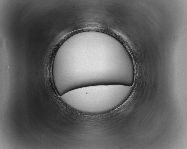 X0000100331407200806051154