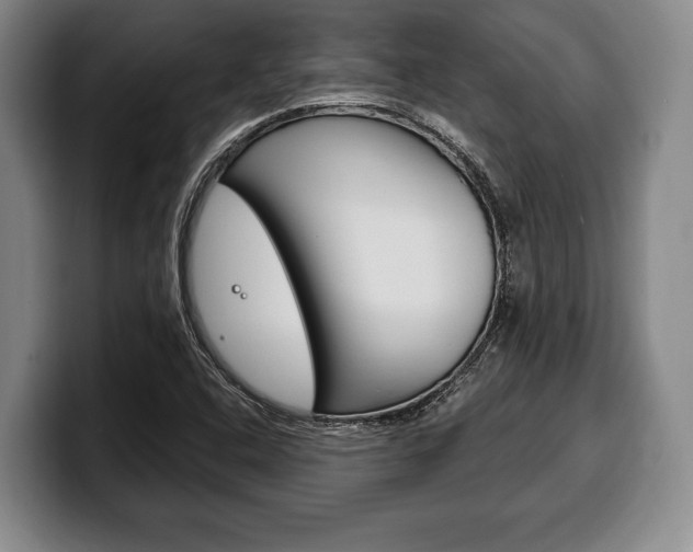 X0000100331408200806051154