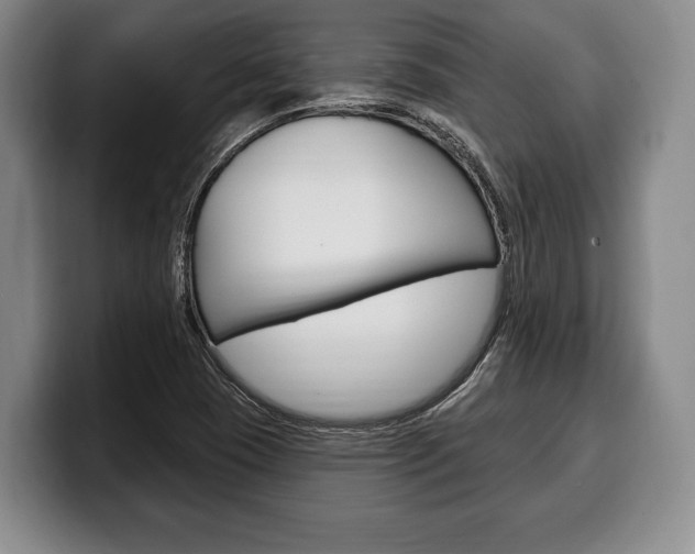 X0000100331409200806051154