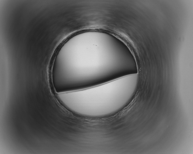X0000100331412200806051154