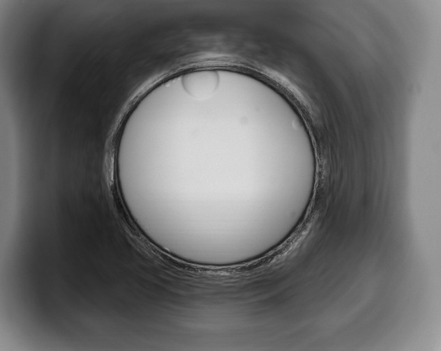 X0000100331413200806051154