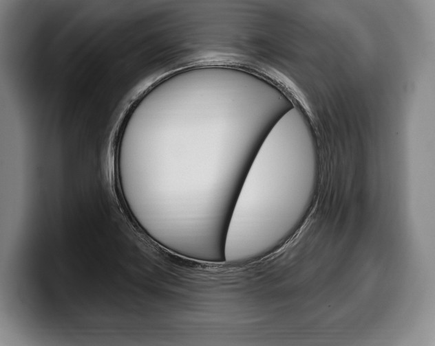 X0000100331419200806051154