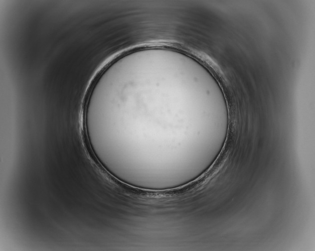 X0000100331420200806051154