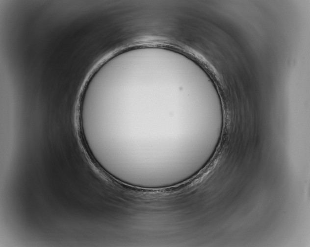 X0000100331421200806051154