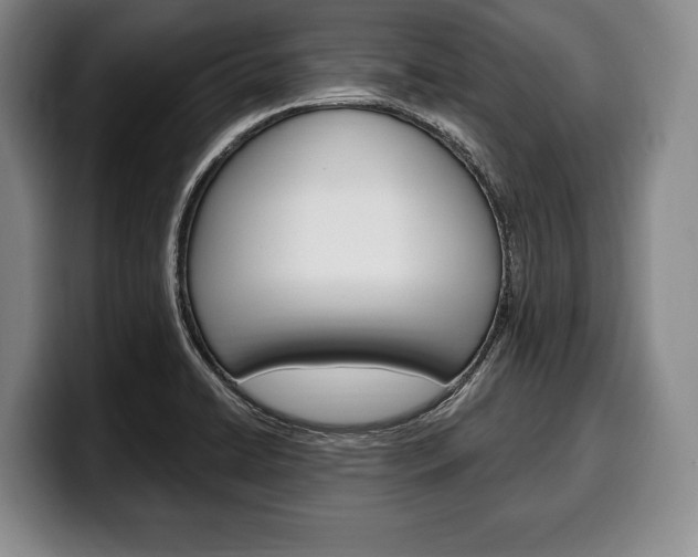 X0000100331422200806051154