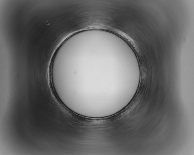 X0000100331423200806051154