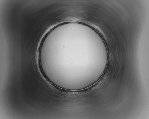 X0000100331424200806051154