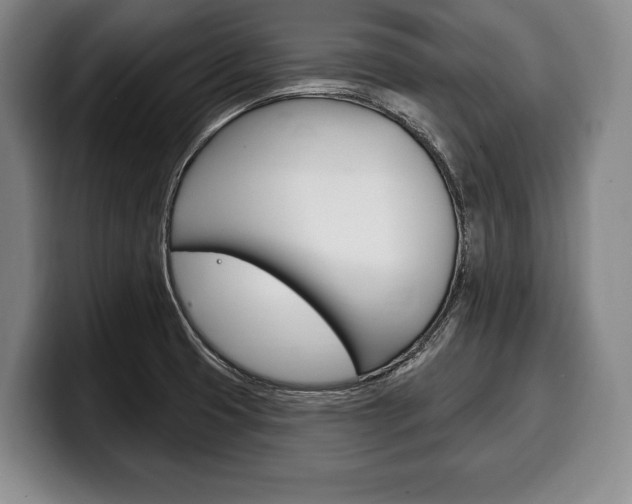 X0000100331425200806051154