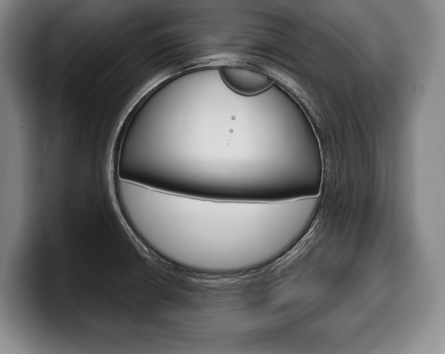 X0000100331426200806051154