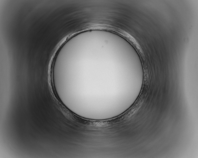 X0000100331427200806051154