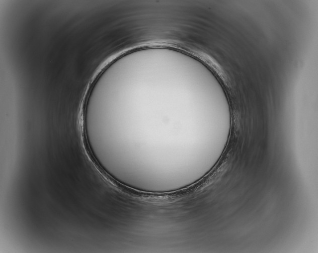 X0000100331428200806051154
