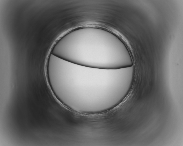X0000100331429200806051154
