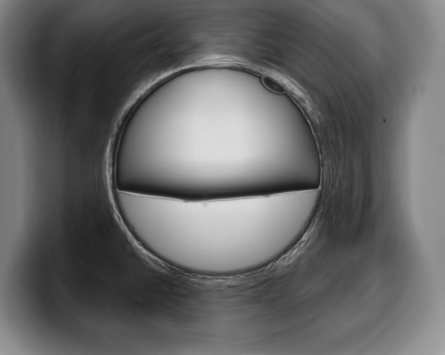 X0000100331430200806051154