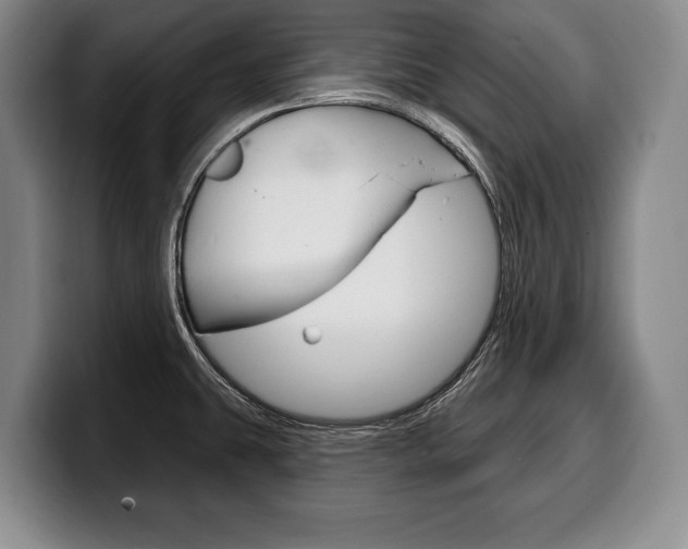 X0000100331431200806051154