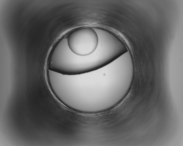 X0000100331432200806051154