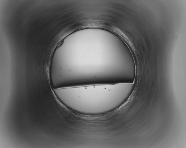 X0000100331433200806051154