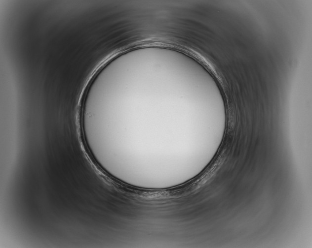X0000100331434200806051154