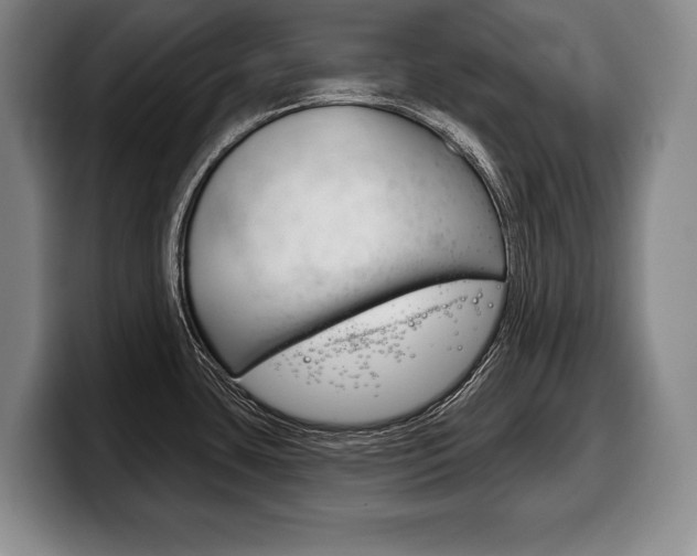 X0000100331435200806051154