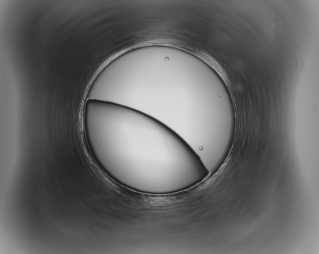 X0000100331436200806051154