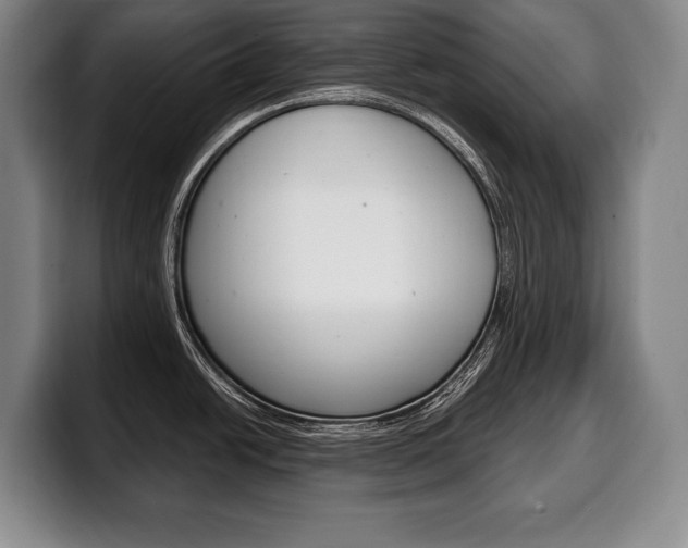 X0000100331438200806051154