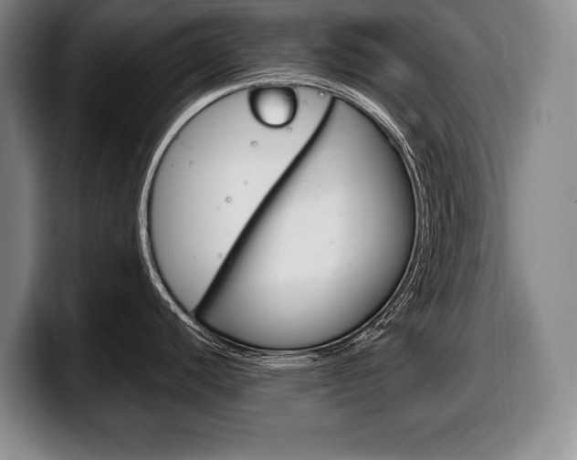 X0000100331440200806051154