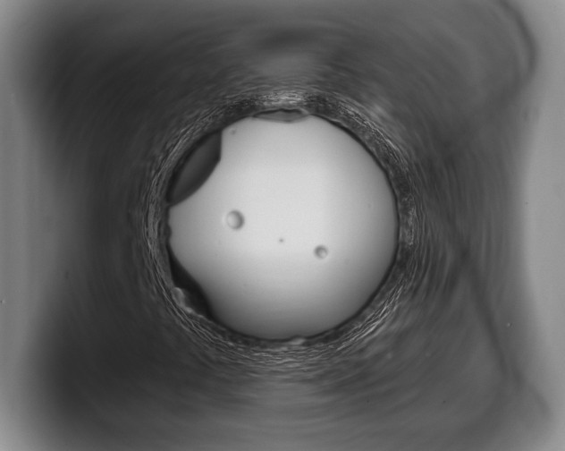 X0000100331441200806051154