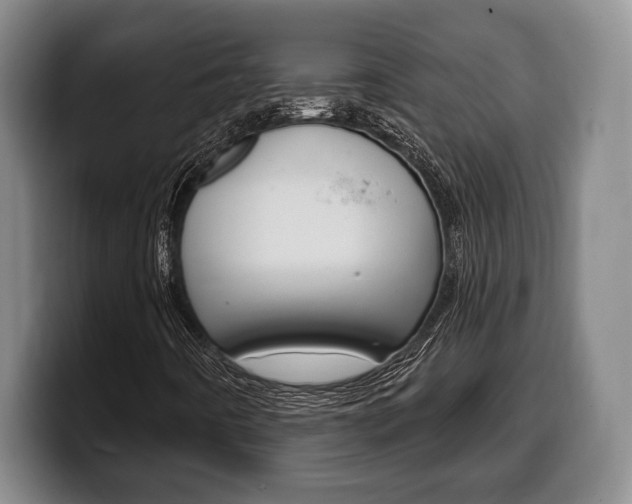 X0000100331442200806051154