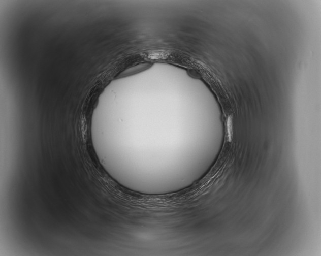 X0000100331443200806051154