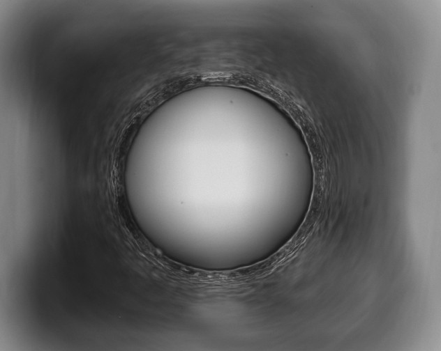 X0000100331445200806051154