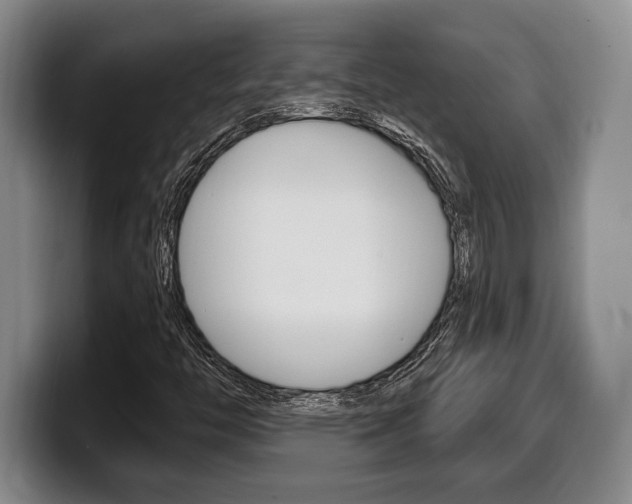 X0000100331446200806051154