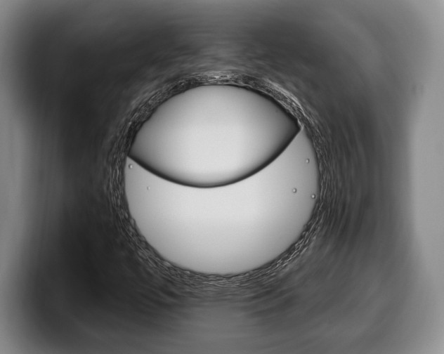 X0000100331447200806051154
