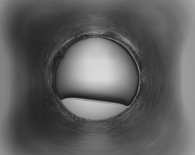 X0000100331448200806051154