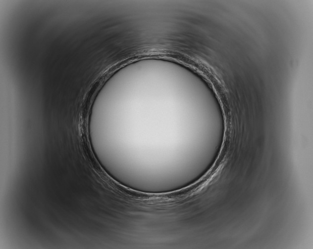 X0000100331449200806051154