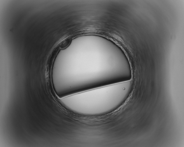 X0000100331450200806051154