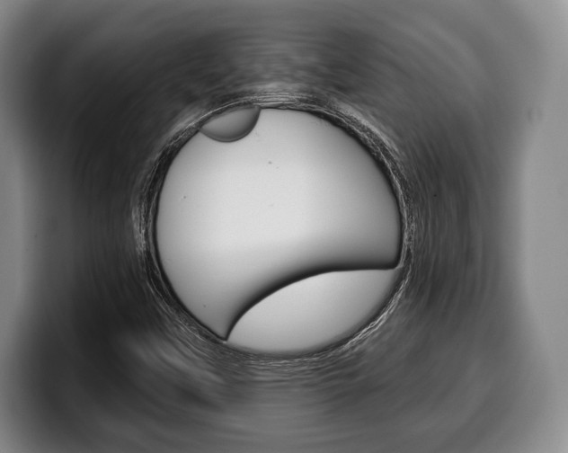 X0000100331451200806051154