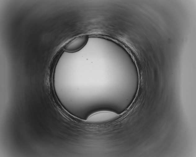 X0000100331452200806051153