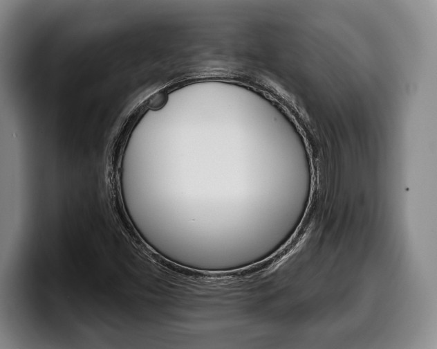 X0000100331453200806051153