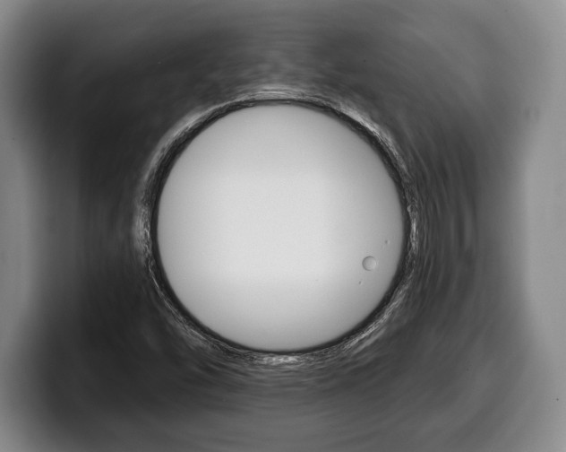 X0000100331454200806051153