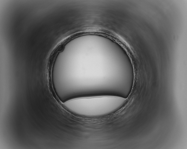 X0000100331456200806051153