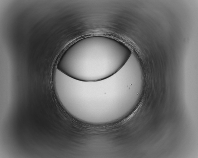 X0000100331457200806051153
