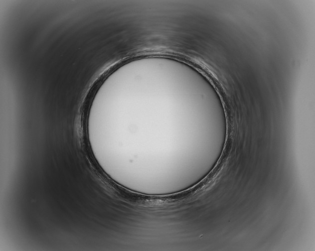 X0000100331458200806051153
