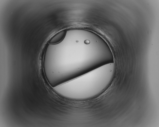 X0000100331459200806051153