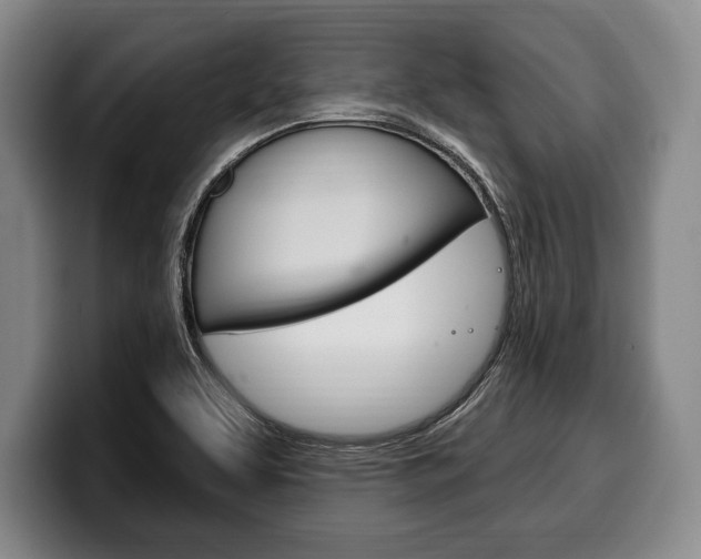 X0000100331463200806051153